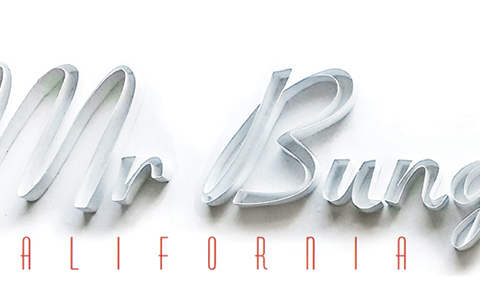 Mr Bungle California